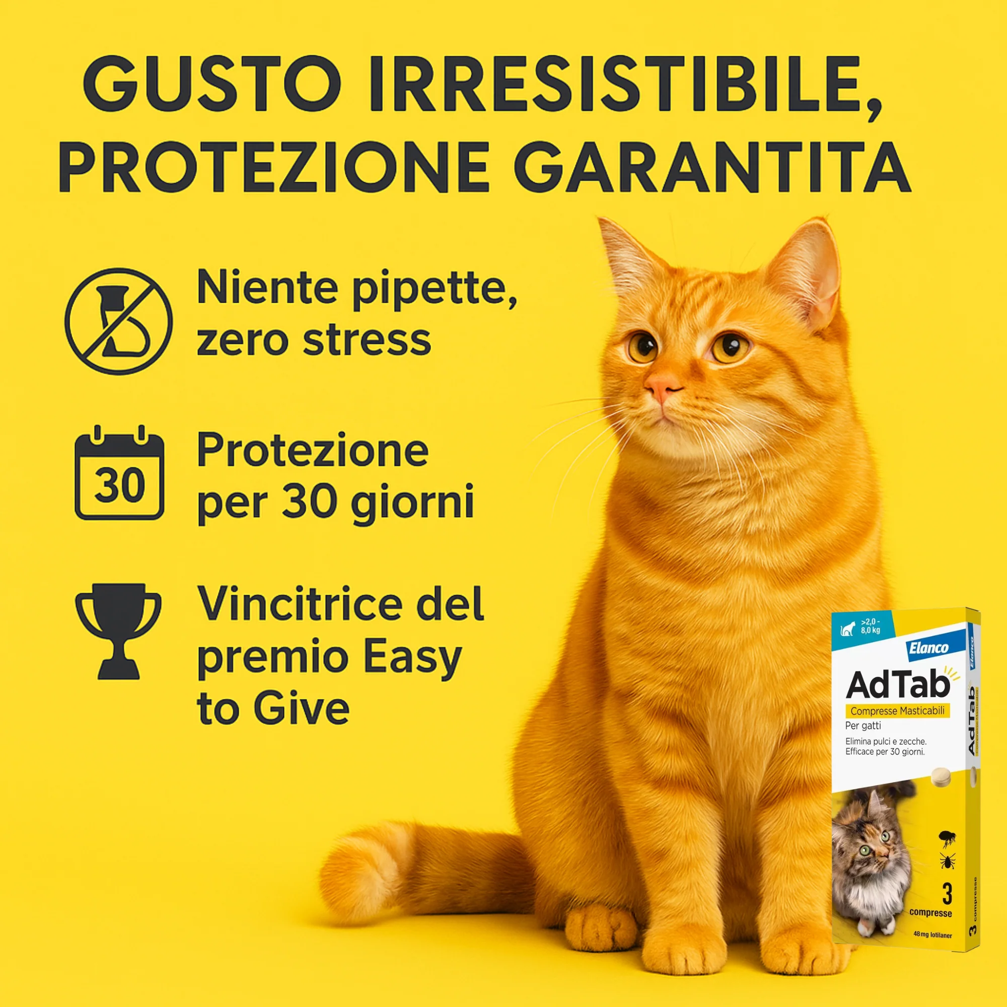 Immagine prodotto 3