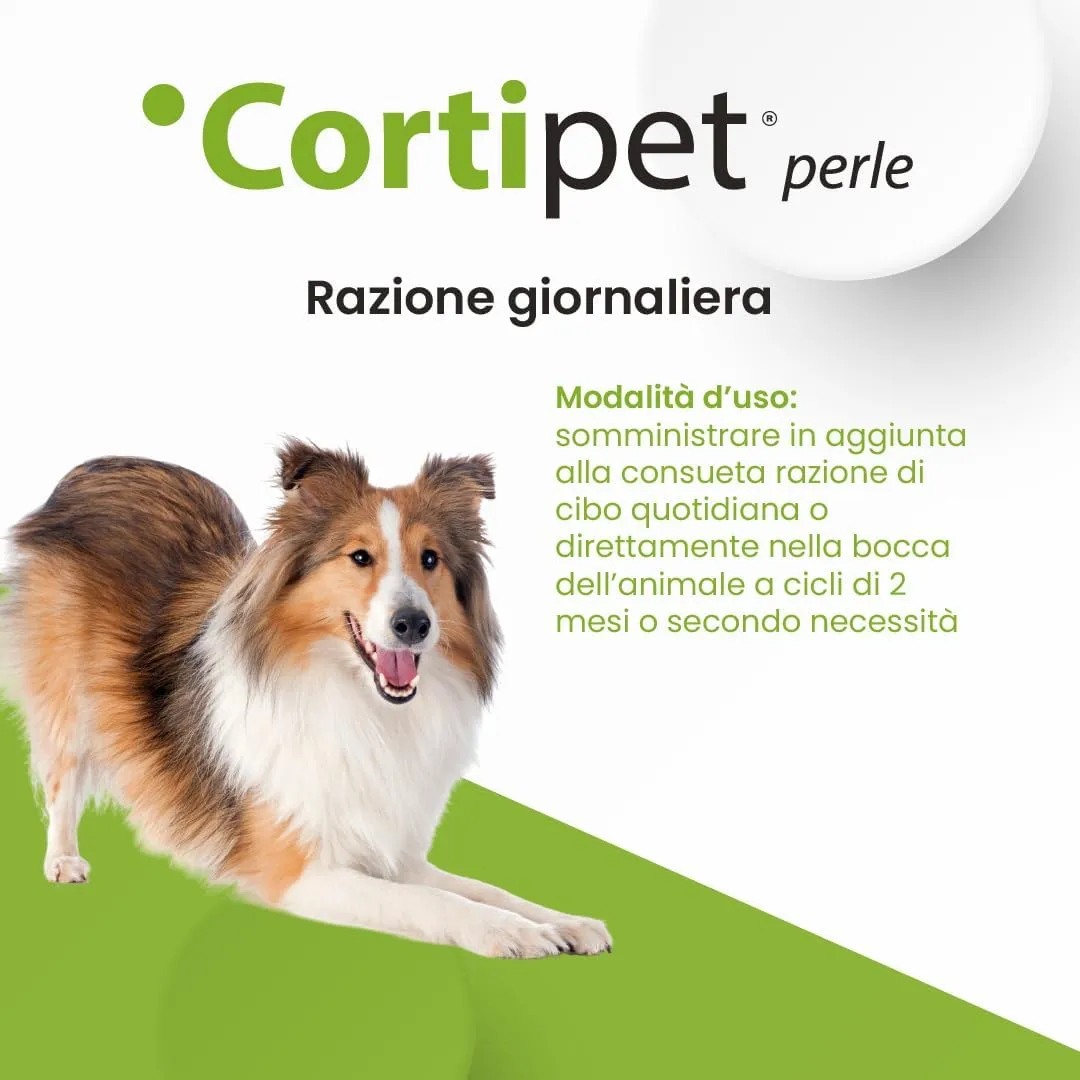 Immagine prodotto 3