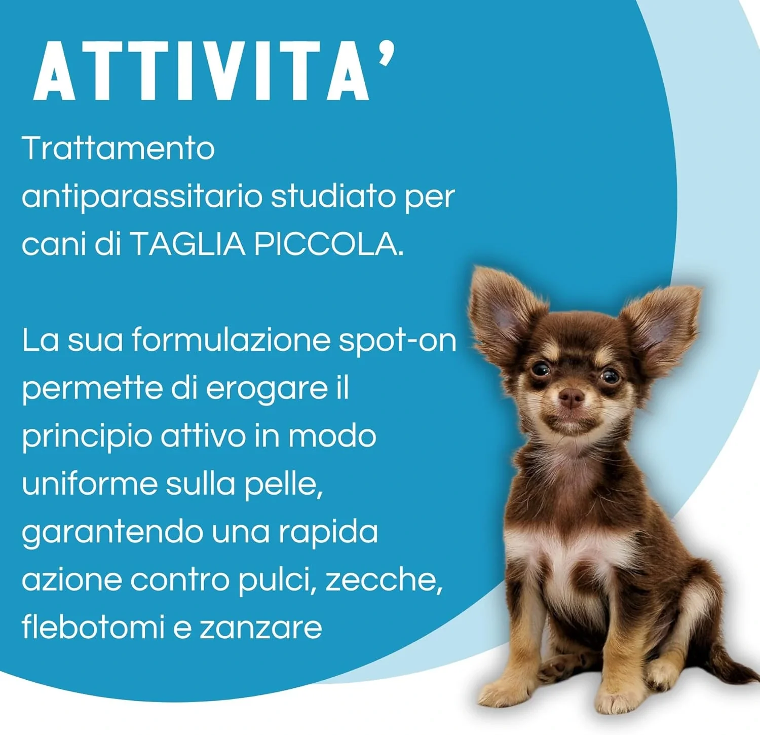 Immagine prodotto 3