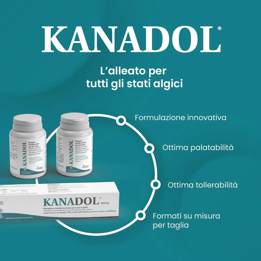 Immagine prodotto 3