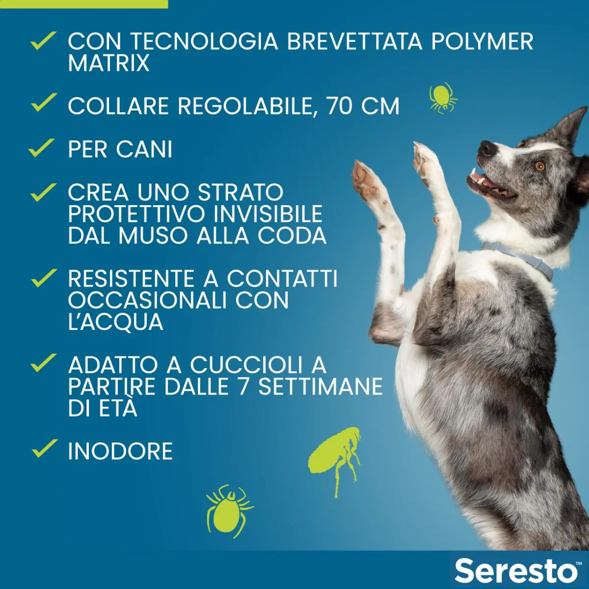 Immagine prodotto 3