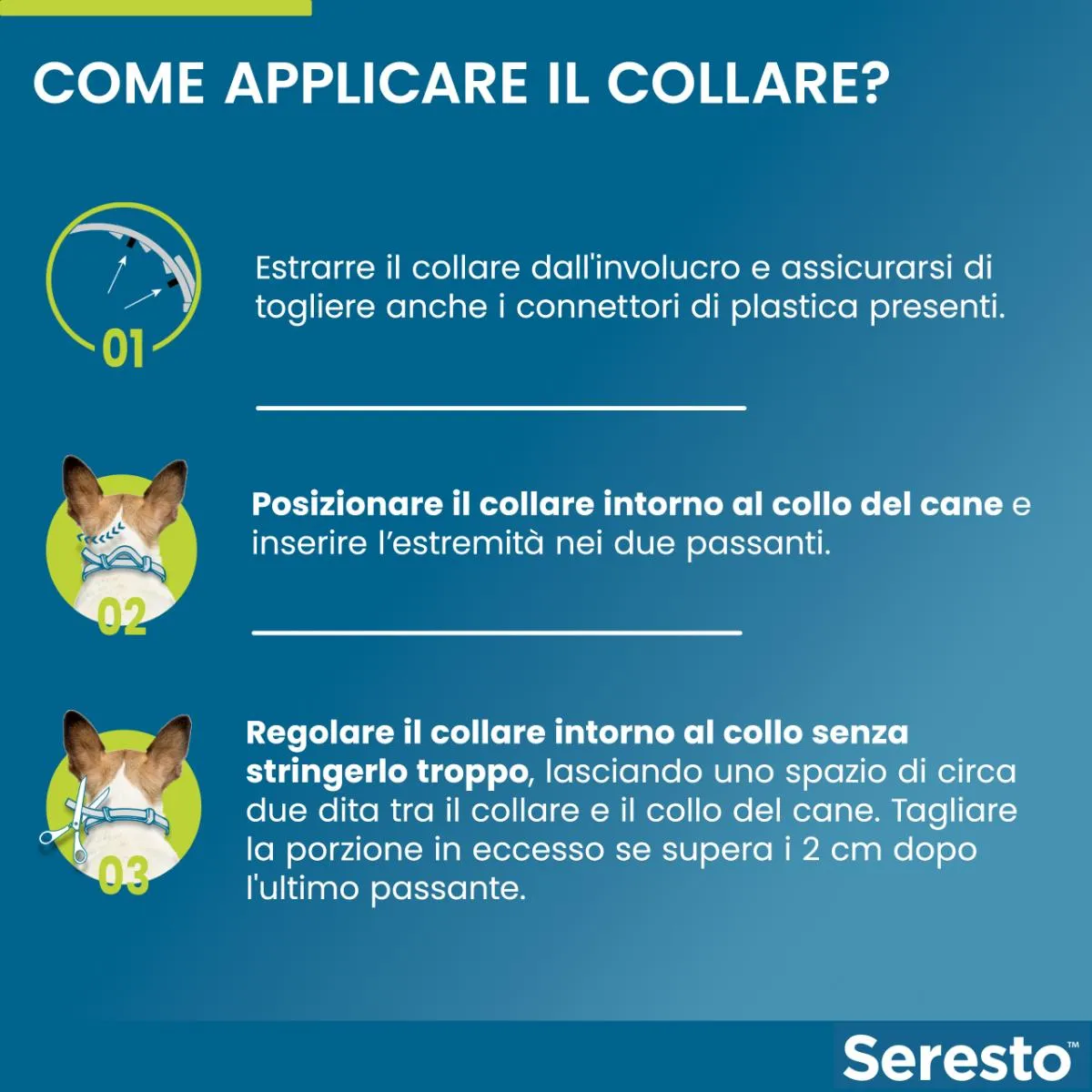 Immagine prodotto 5