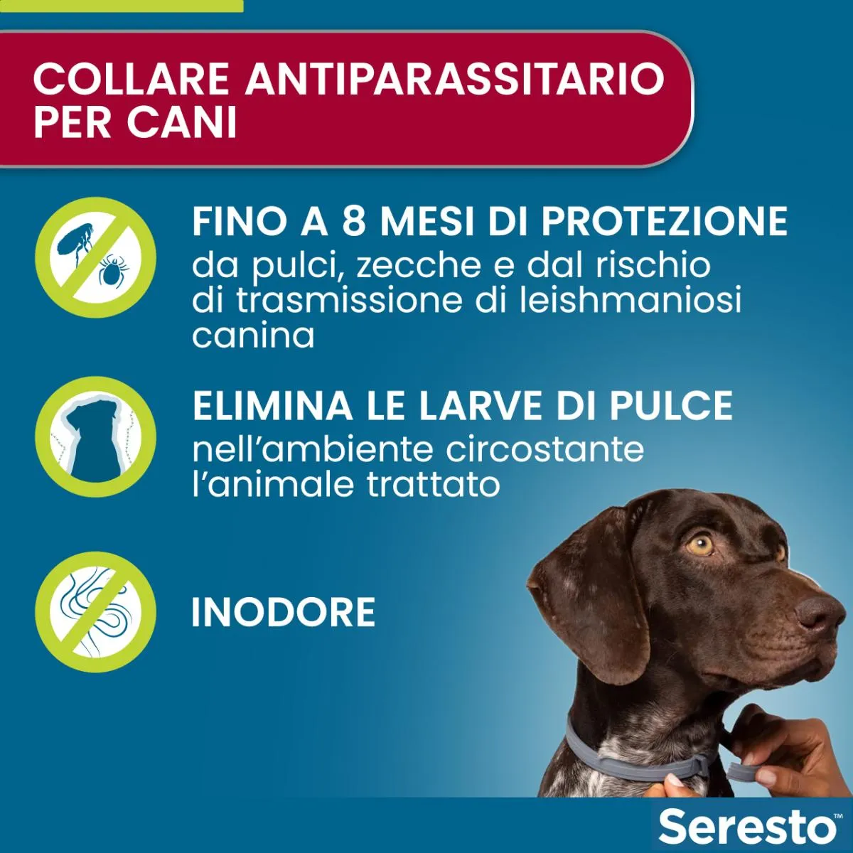 Immagine prodotto 6