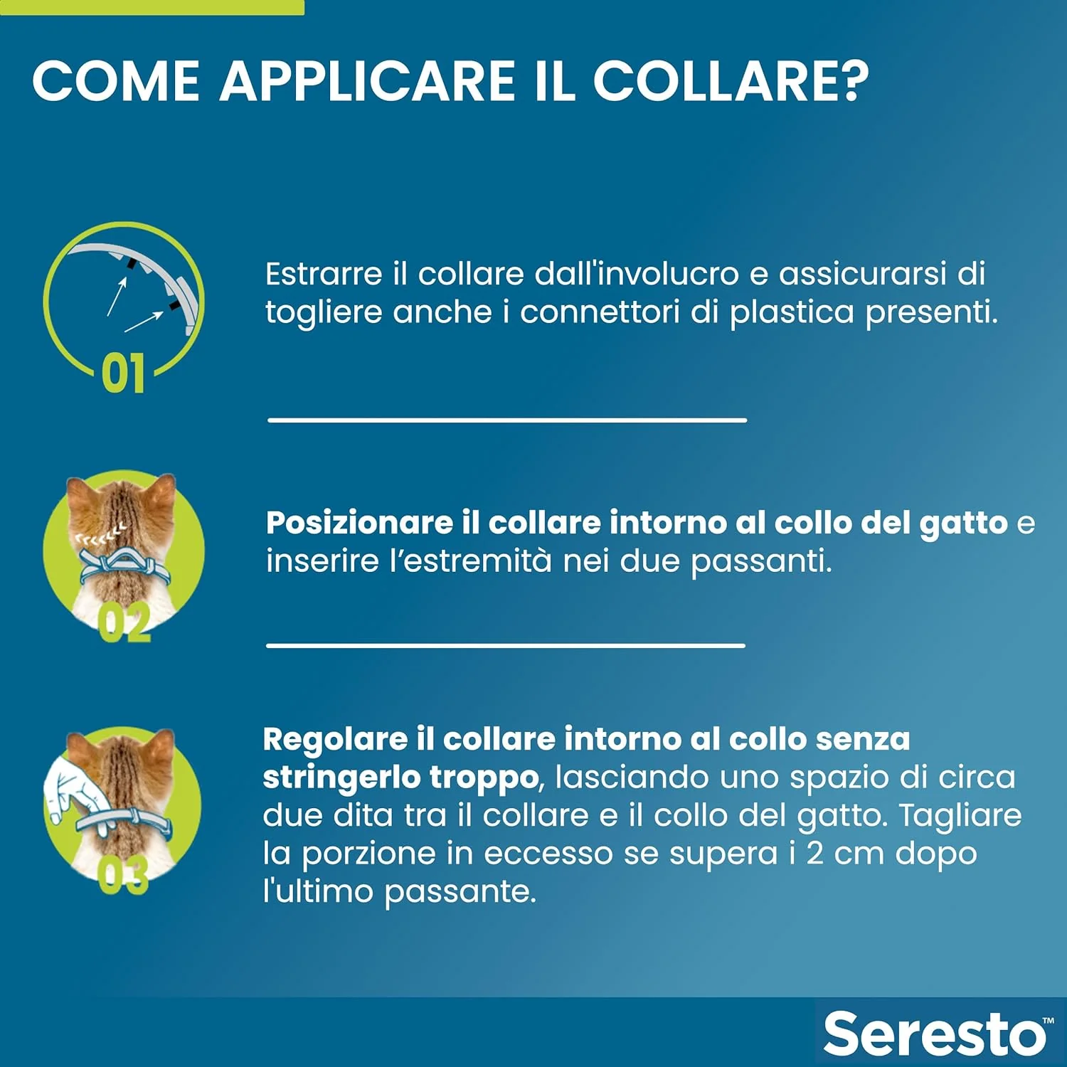 Immagine prodotto 3
