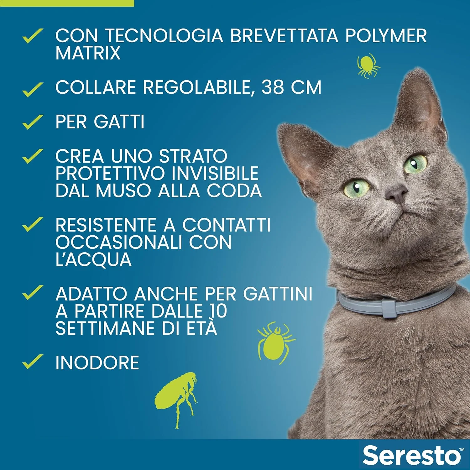 Immagine prodotto 6