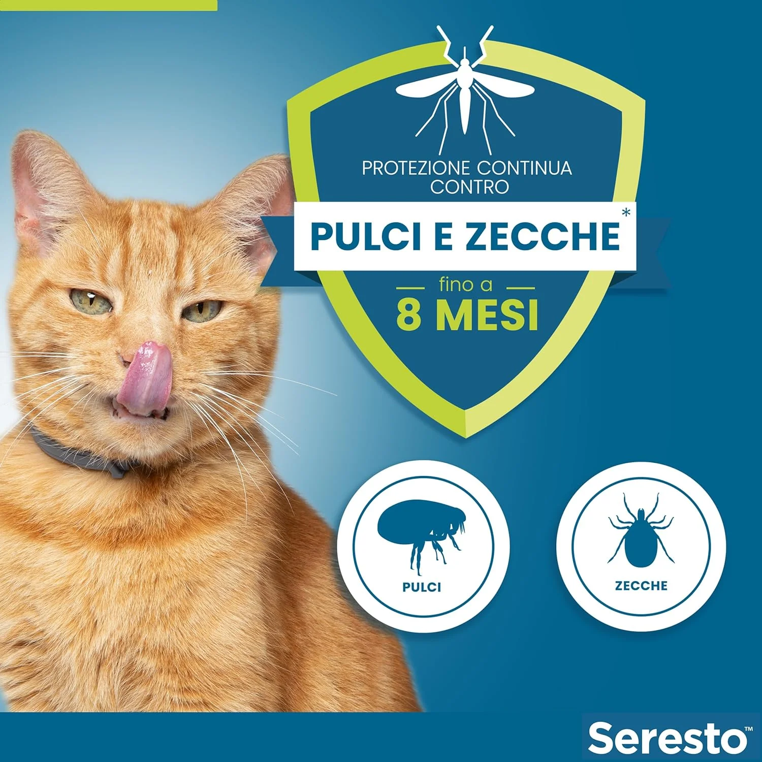 Immagine prodotto 7
